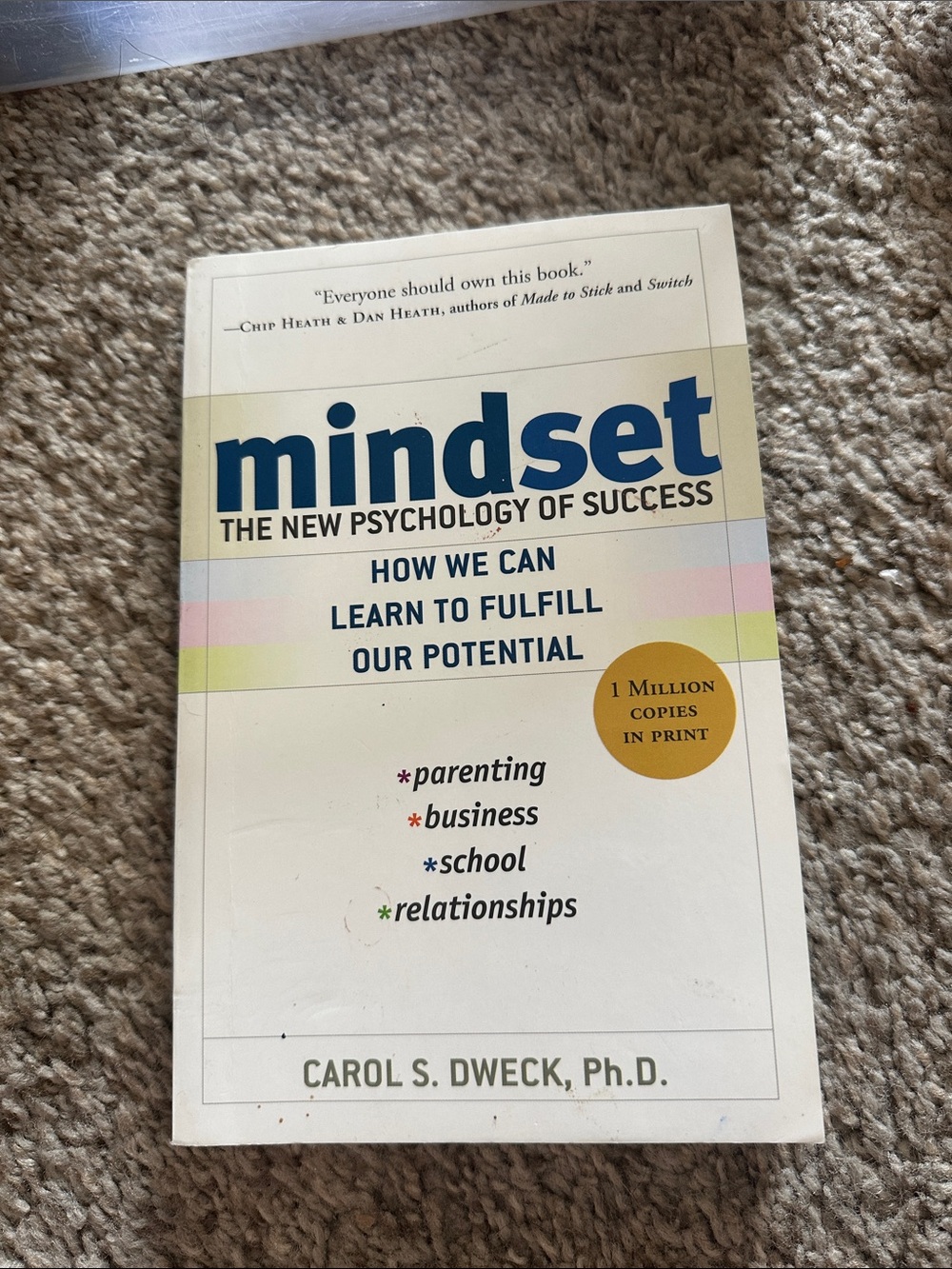 Mindset by Carol S. Dweck — White Cover with Blue Title